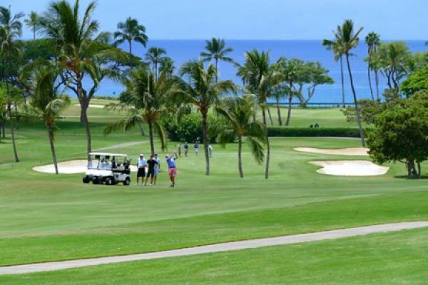 On Golf Course Maui Eldorado Kaanapali Condos